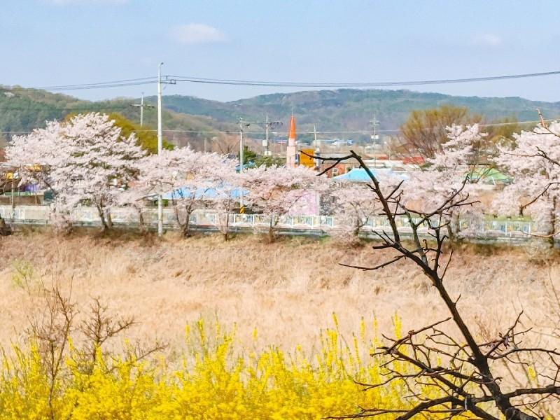 숙소 시설