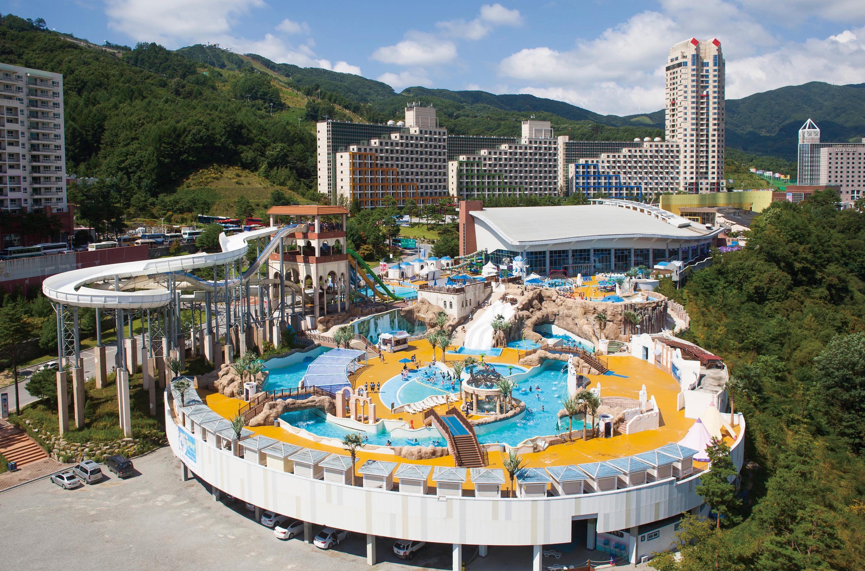 대표 사진