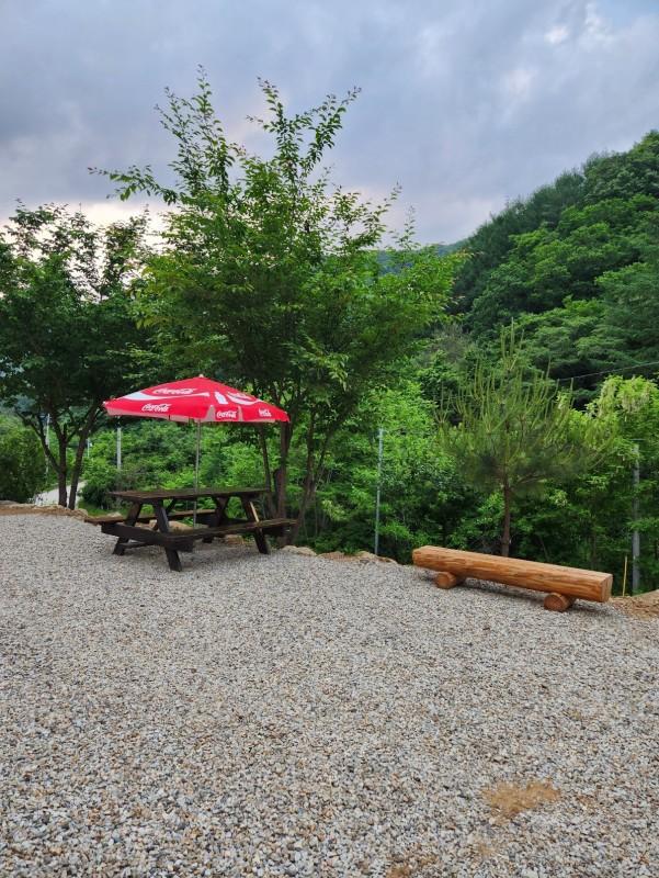 대표 사진