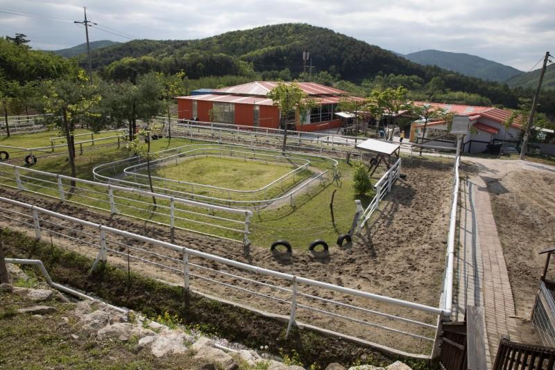 Pocheon Horse Kingdom Glamping-39