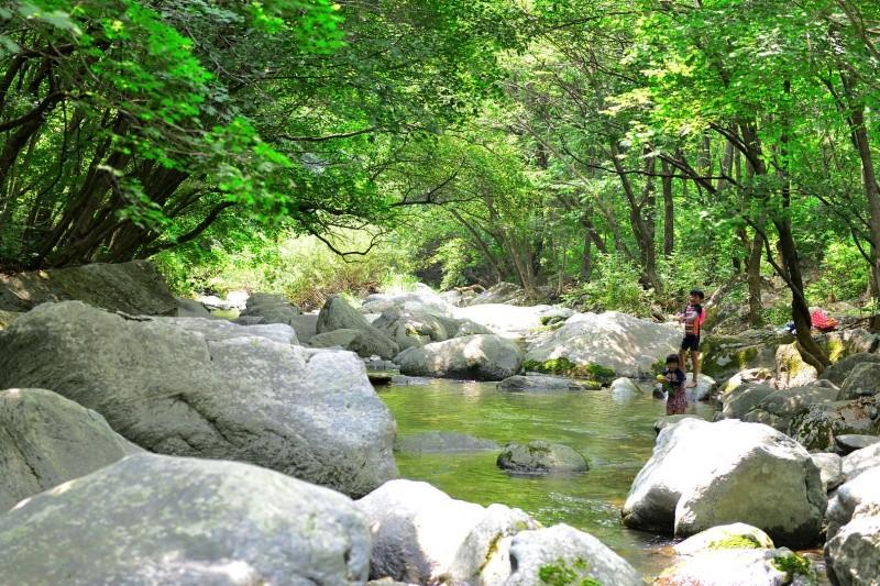 Gapyeong Lavender Pension-26