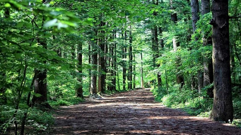 Ganghwado Oeapohang Pension-12