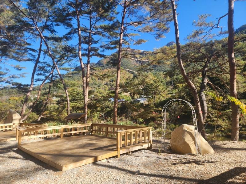 대표 사진
