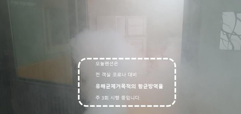 대표 사진
