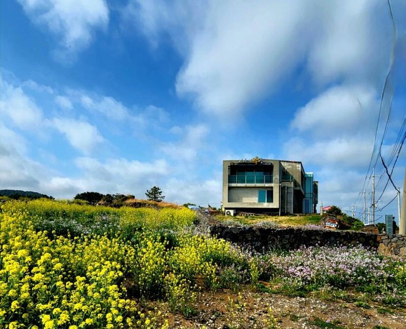 Jeju Iyagi Byeolbang Pension