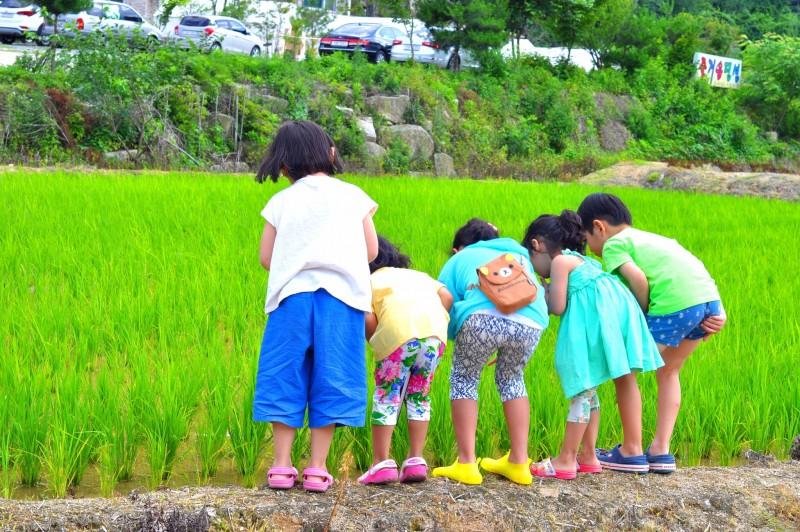 숙소 시설