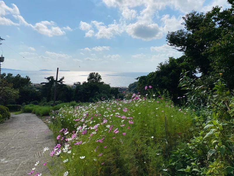 Ganghwado Hyu Sunset Pension-19