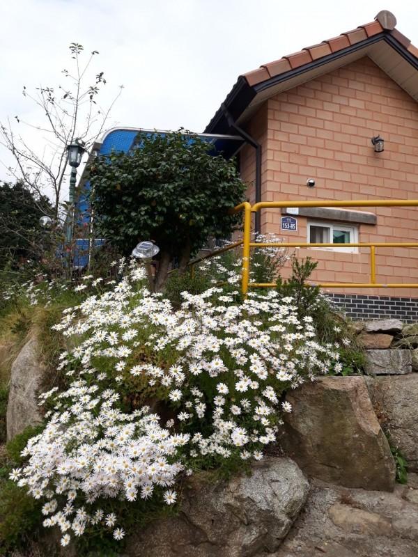 숙소 시설