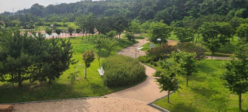대표 사진