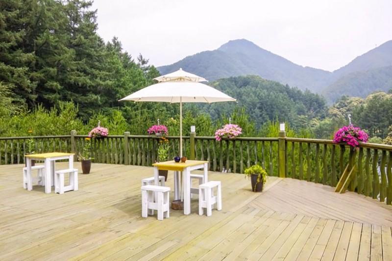 Yangpyeong Lime Orange Pension-10