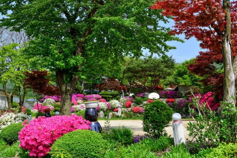 Gapyeong Flower Muji Pension (near the valley)-43