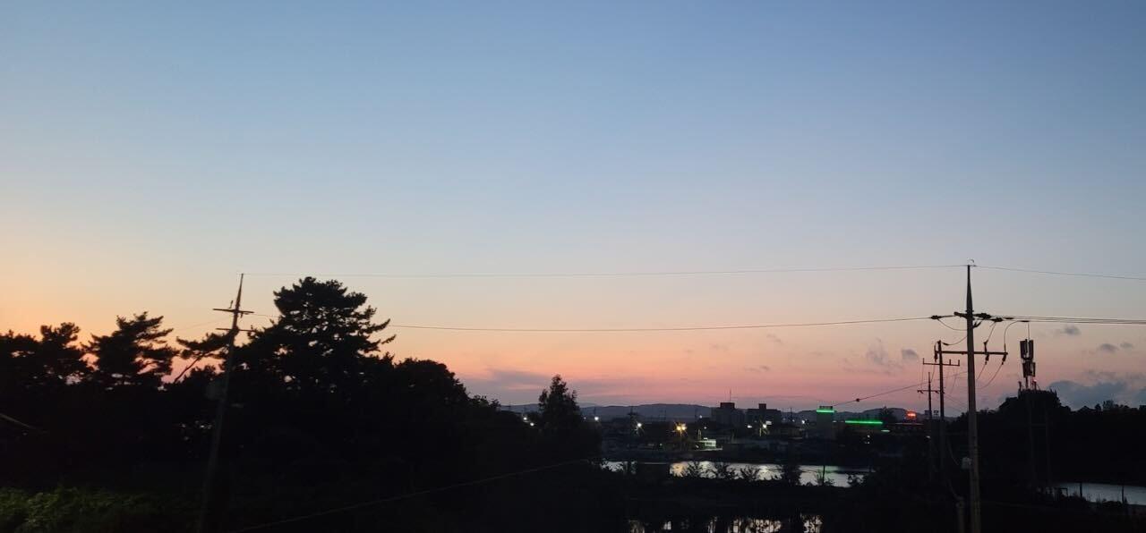기타