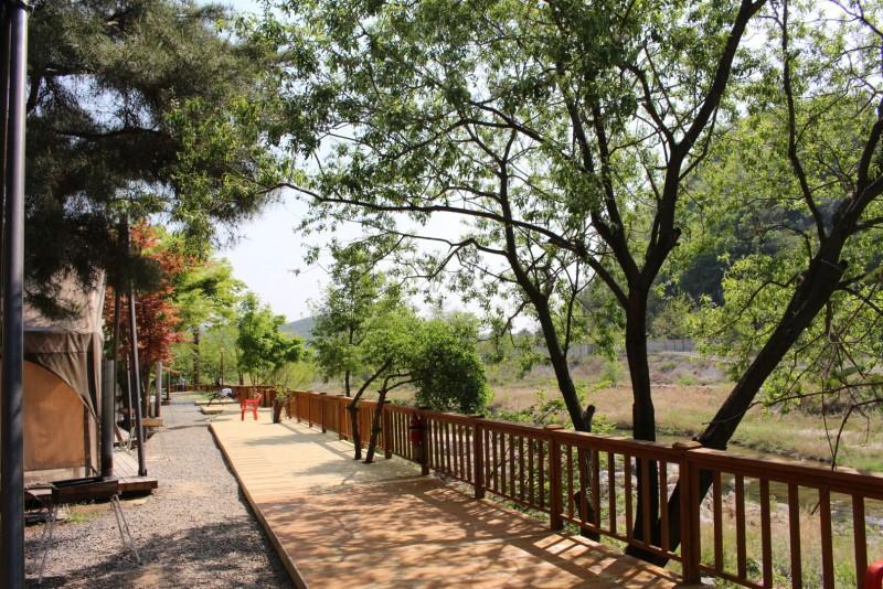 Pocheon Pine Tree Glamping Poolvilla-43