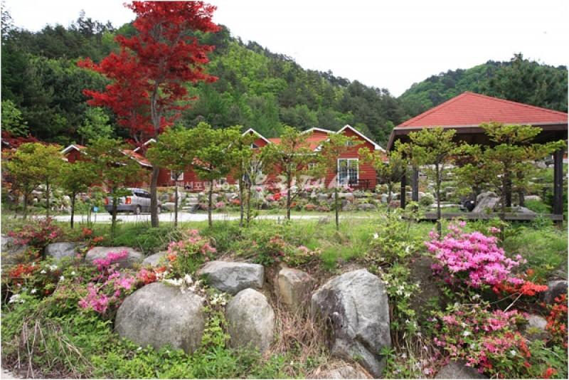 숙소 시설