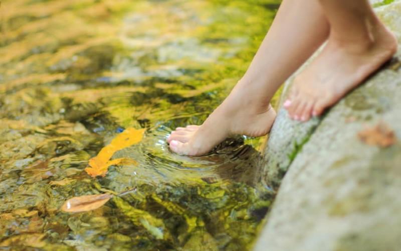 Gapyeong Green Bee Pension-15