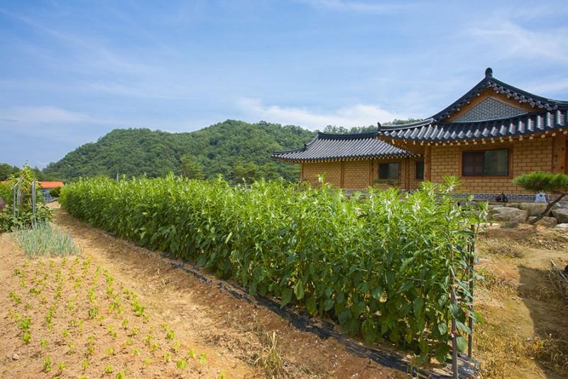 숙소 시설