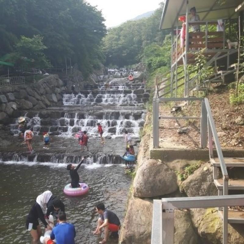 대표 사진