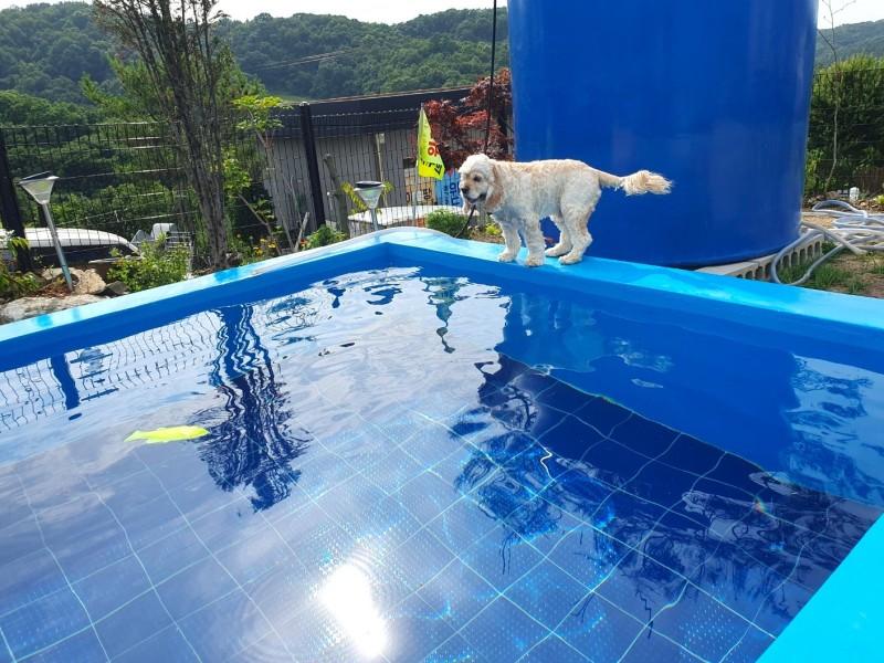 숙소 시설