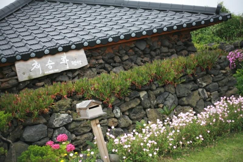 대표 사진