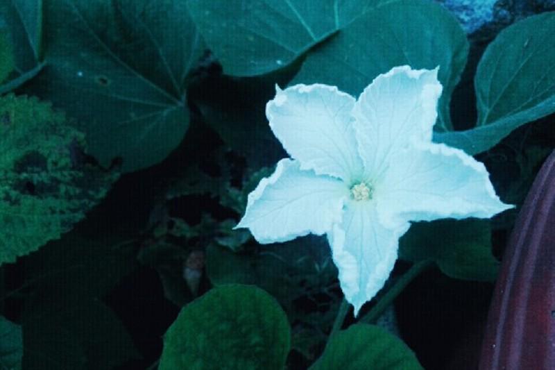 숙소 시설