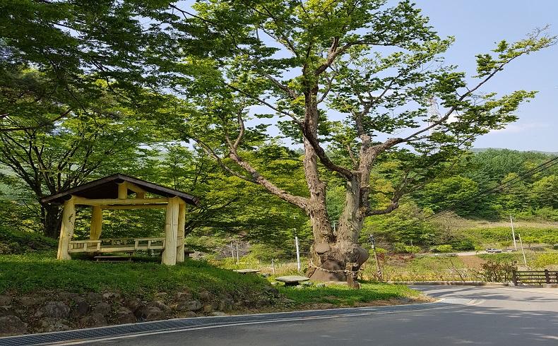 숙소 외관