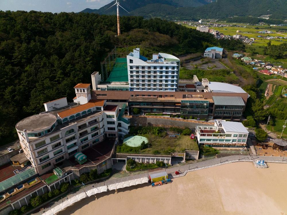 대표 사진