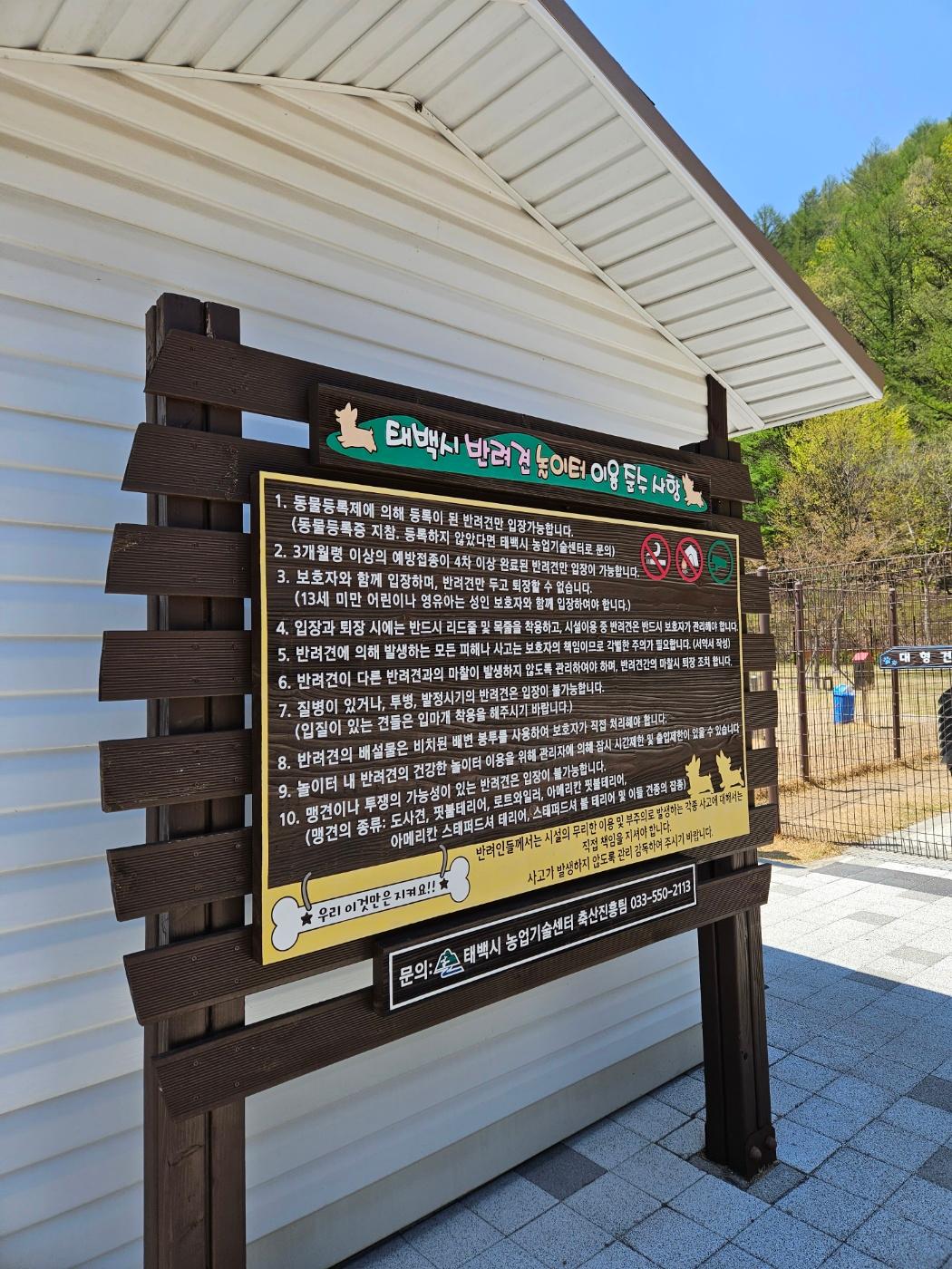 대표 사진