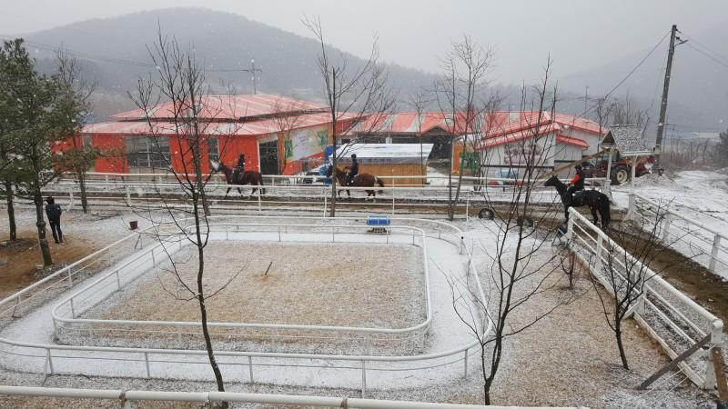 Pocheon Horse Kingdom Glamping-40