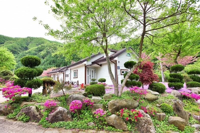숙소 시설