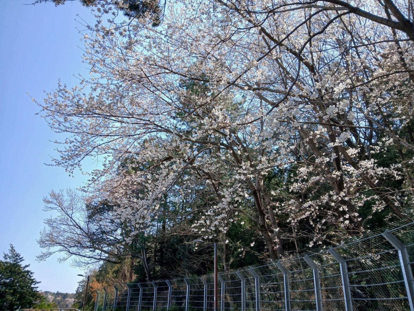 숙소 시설