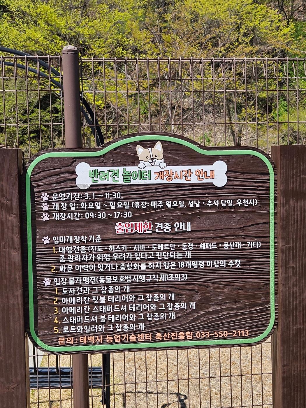 대표 사진
