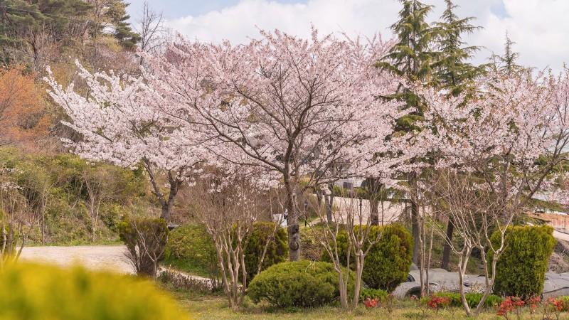 숙소 시설