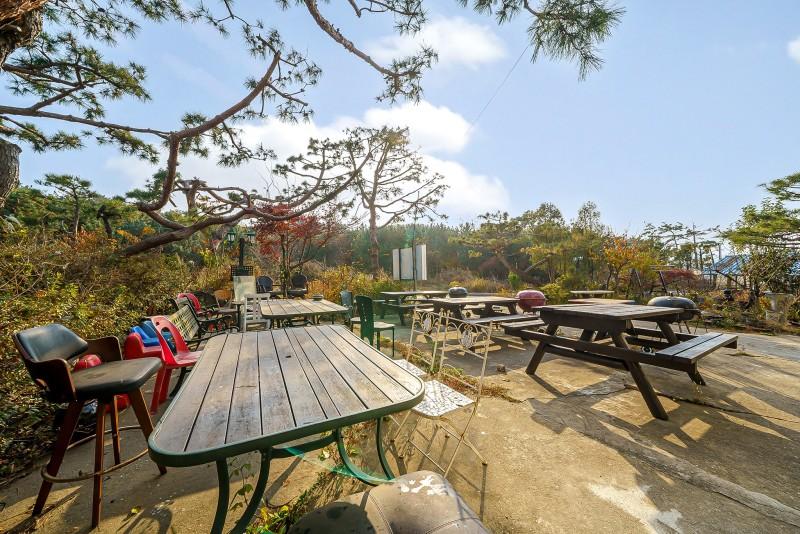 Daebudo Seayard Pension-11