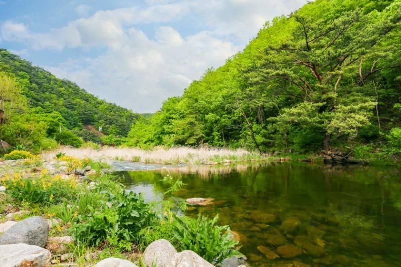 대표 사진