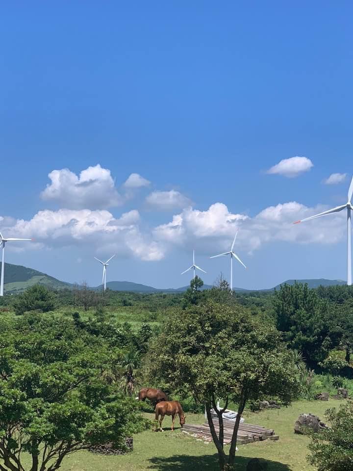 숙소 외관