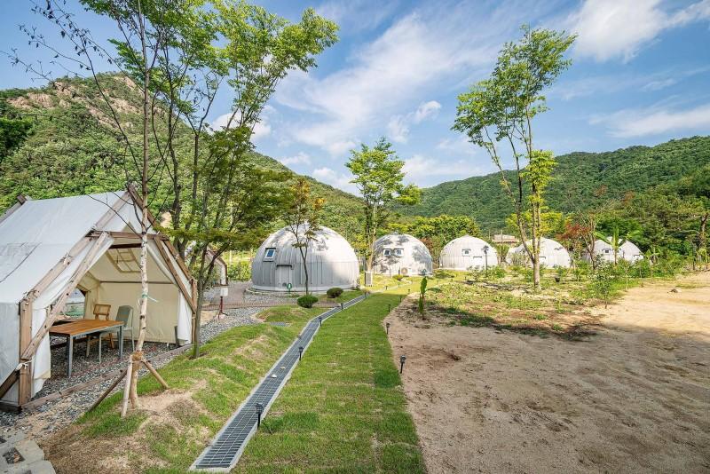 대표 사진