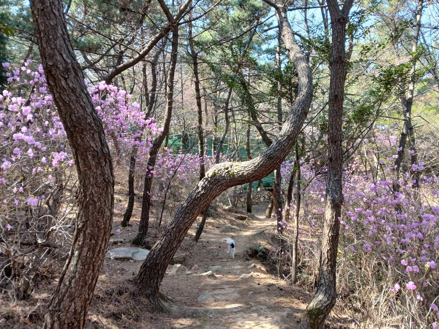 숙소 시설