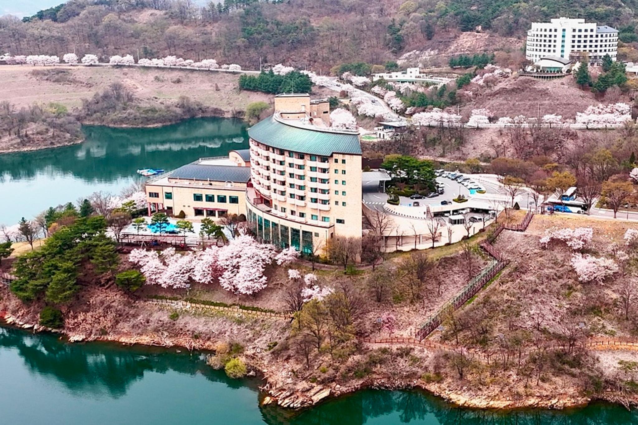 대표 사진