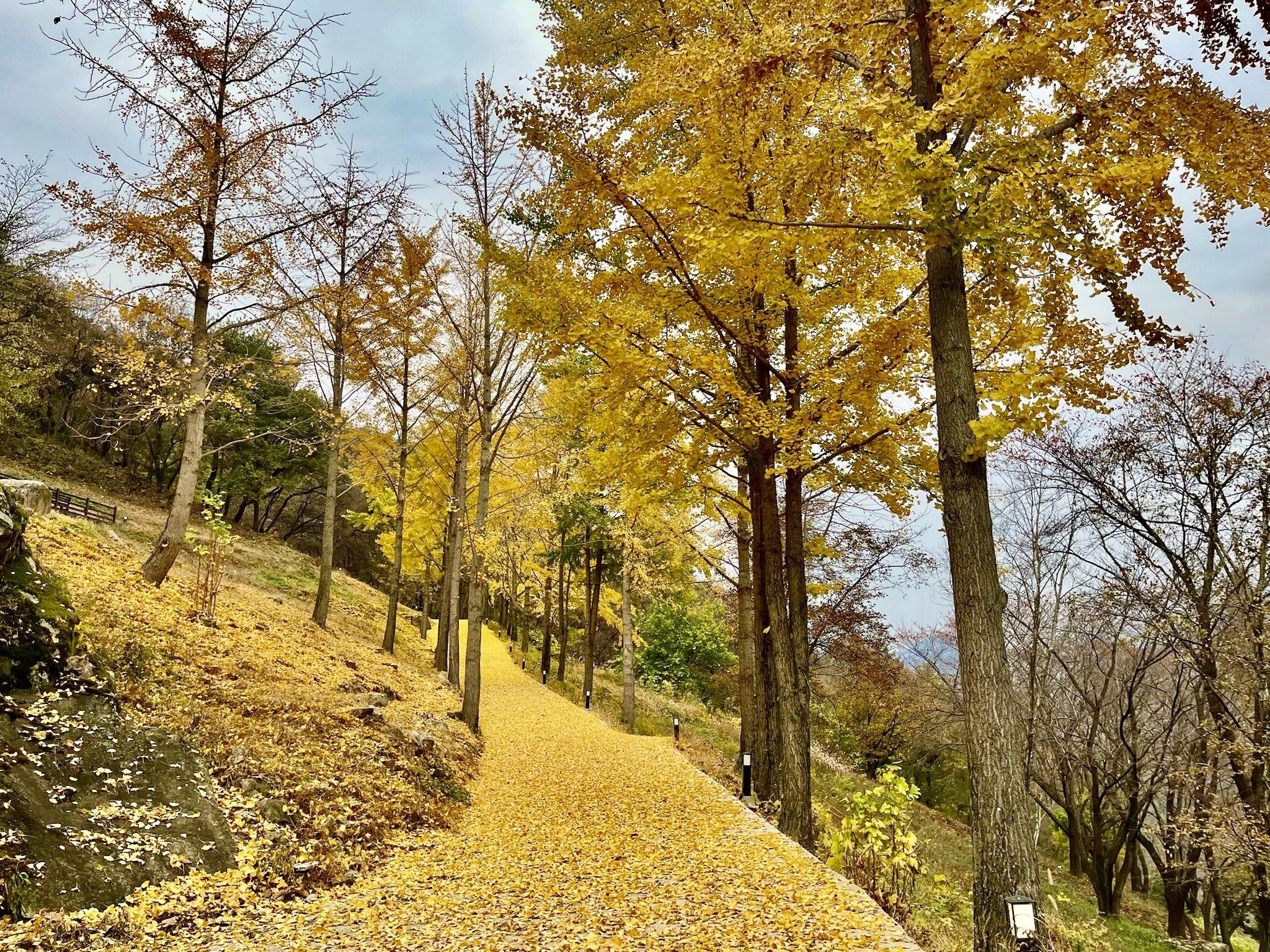 대표 사진