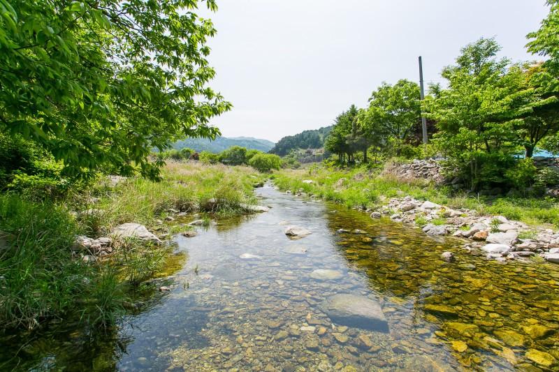 대표 사진