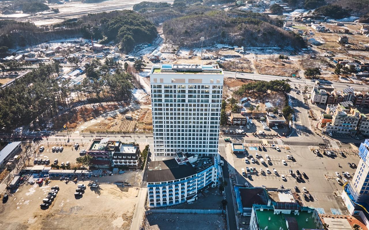 대표 사진