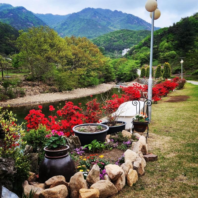 Nonsan Yedaum Sarangchae Pension