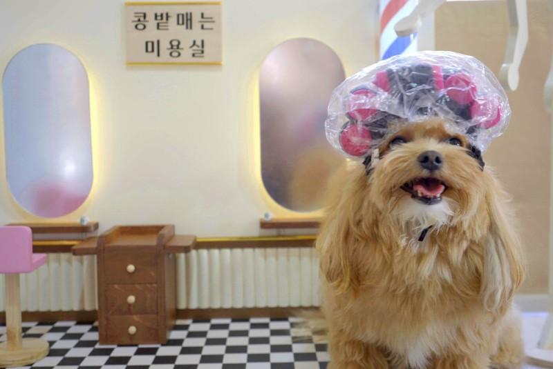 숙소 시설
