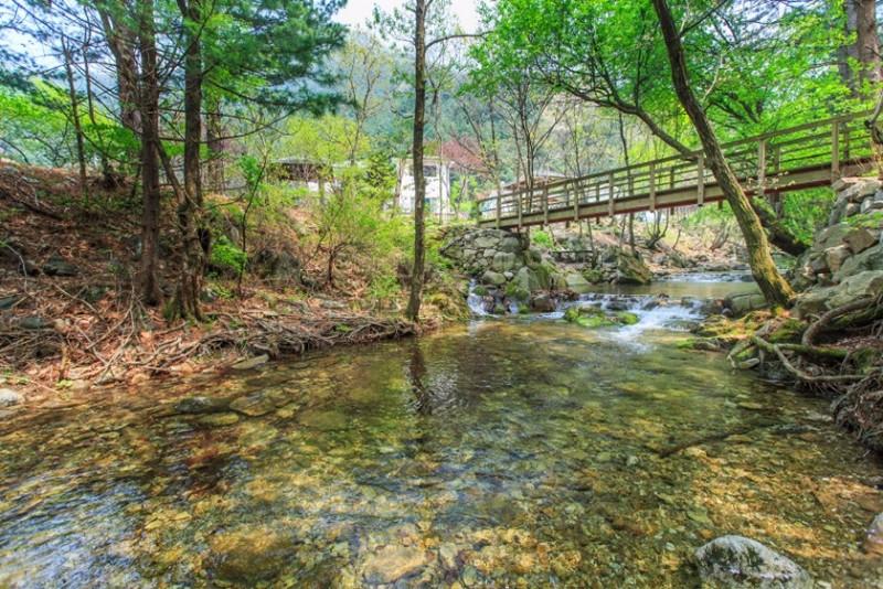 Yangpyeong Boseoksangja Pension-41