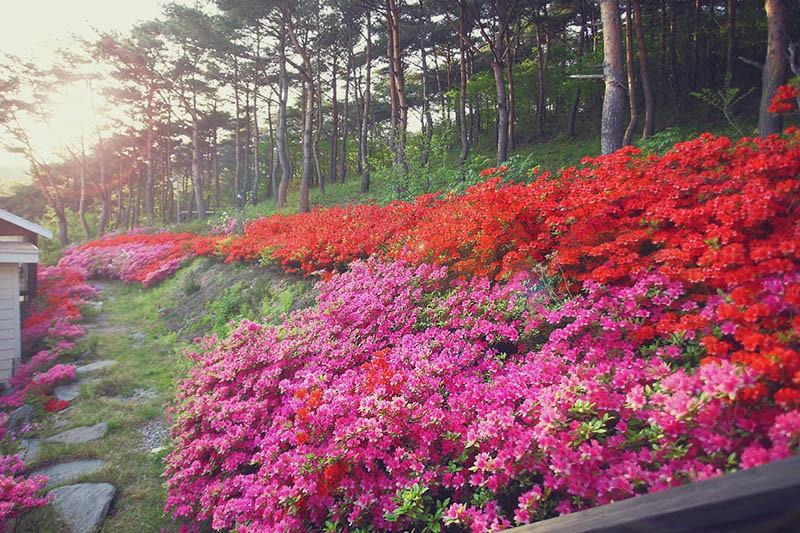 숙소 시설