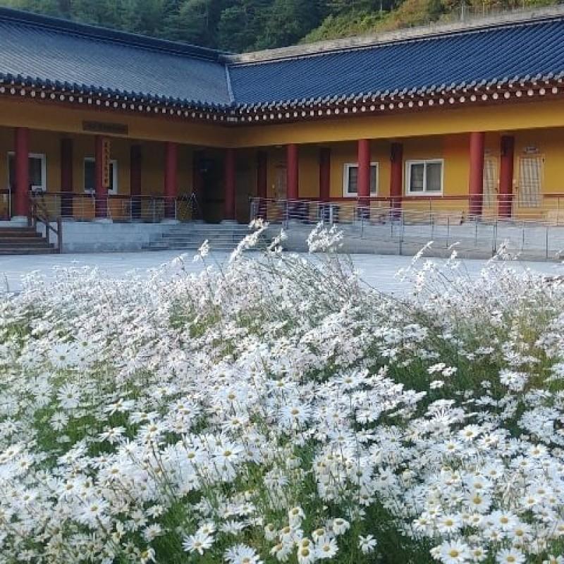 숙소 시설