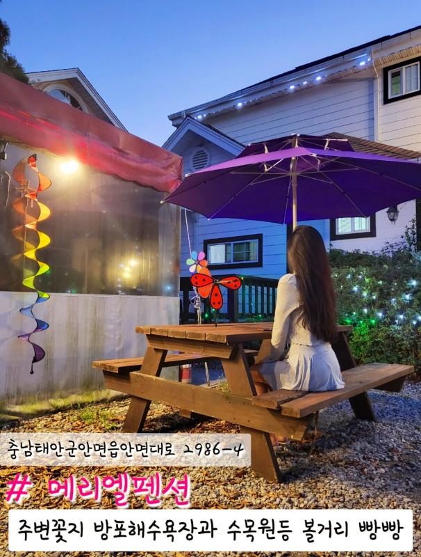 대표 사진