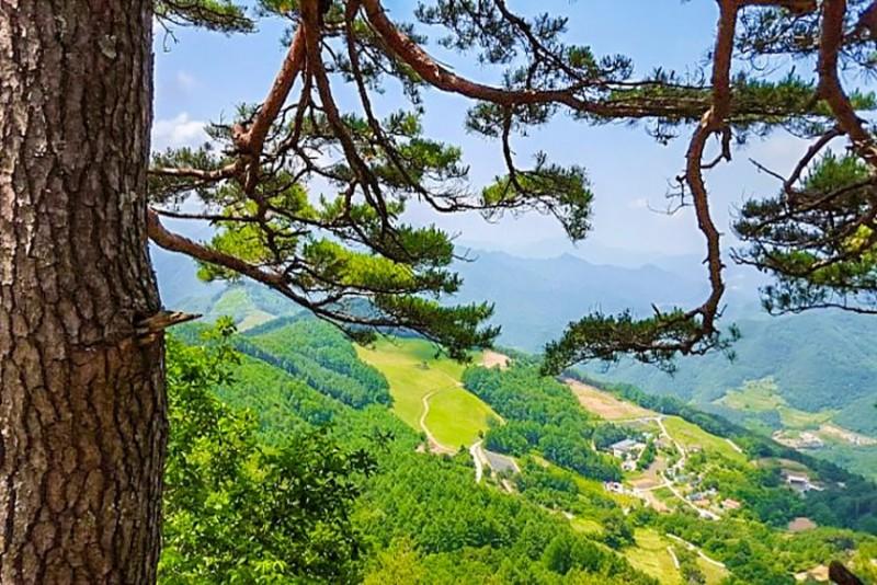 숙소 시설