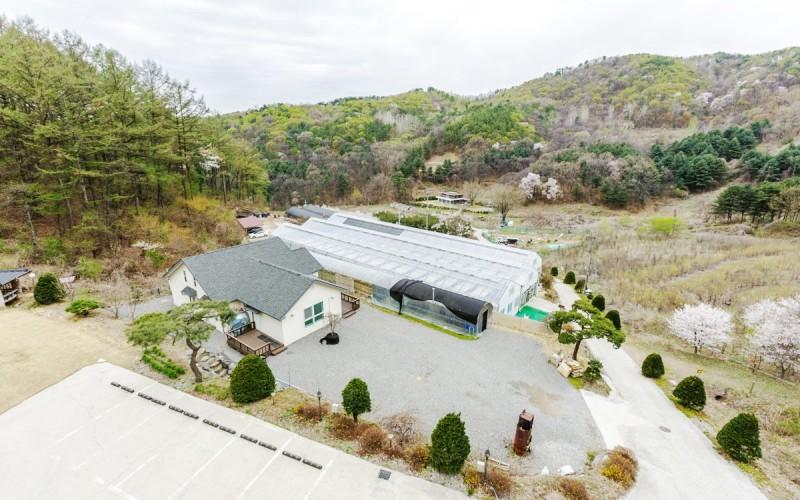 Flower Pension in Namyangju-16