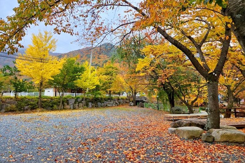 숙소 시설